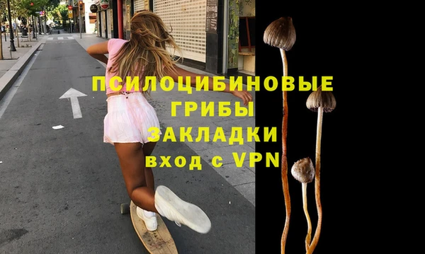 мдпв Абдулино