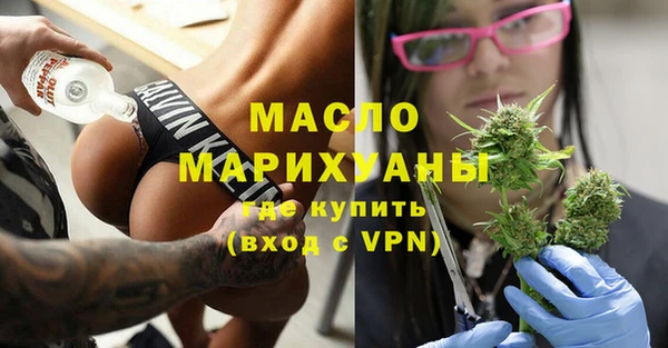 индика Новодвинск