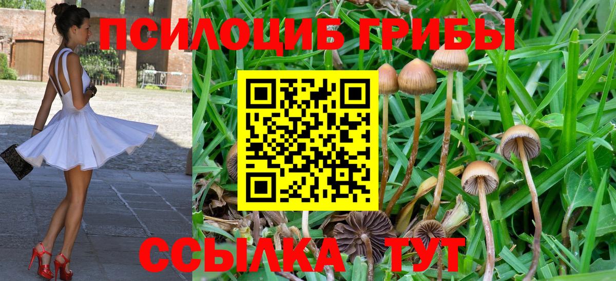 Галлюциногенные грибы Psilocybe  Вход с VPN  Новочеркасск 