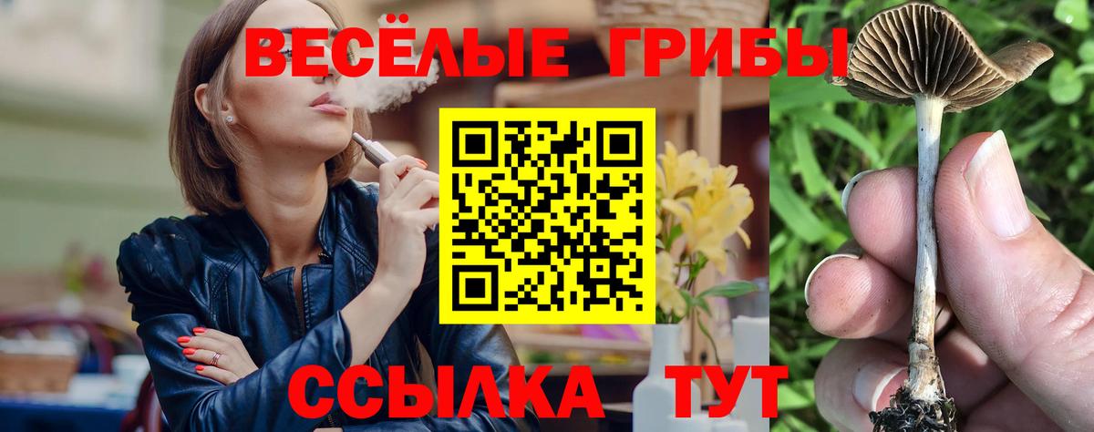 Галлюциногенные грибы Psilocybe Новочеркасск